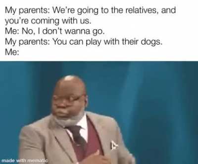Dogs, you say?