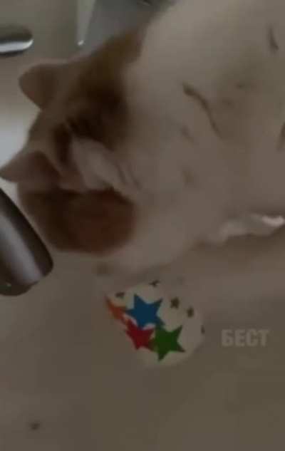 Они эволюционируют.