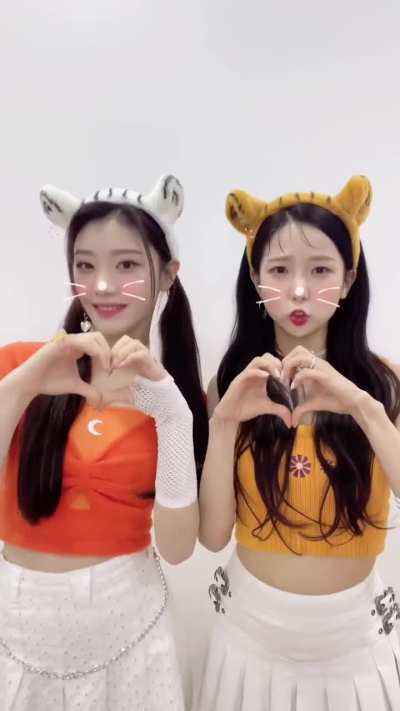 [220217] Yujin & Xiaoting TikTok update: Cats 😻❤️ [FIRST IMPACT] #XiaoJin