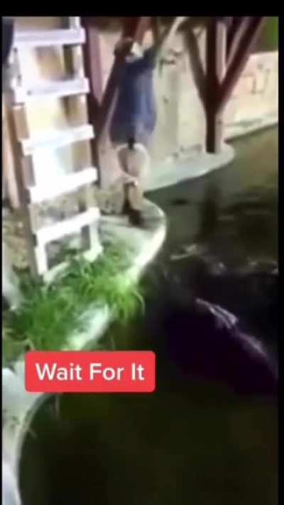 let me dangle over this alligator pit real quick