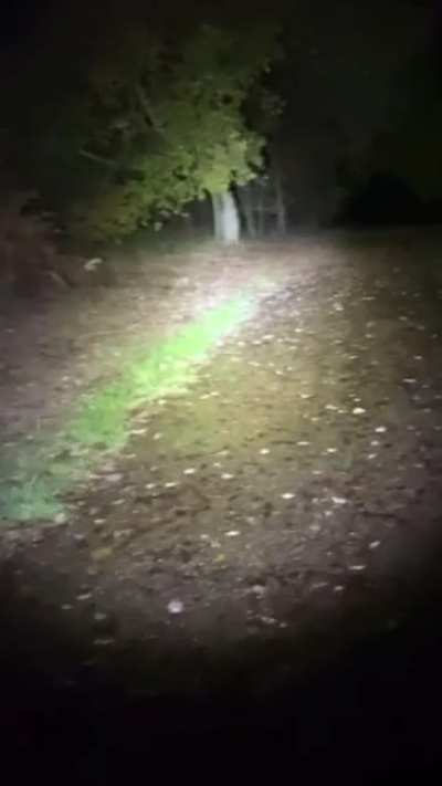 Captured in England, Worksop (Clumber Park)