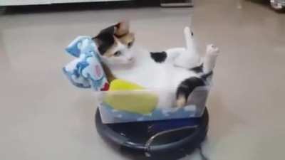This CAT is M O B I L E