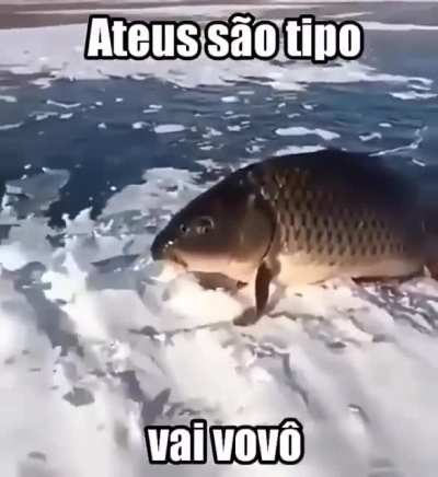 Vovô tá evoluindo😳