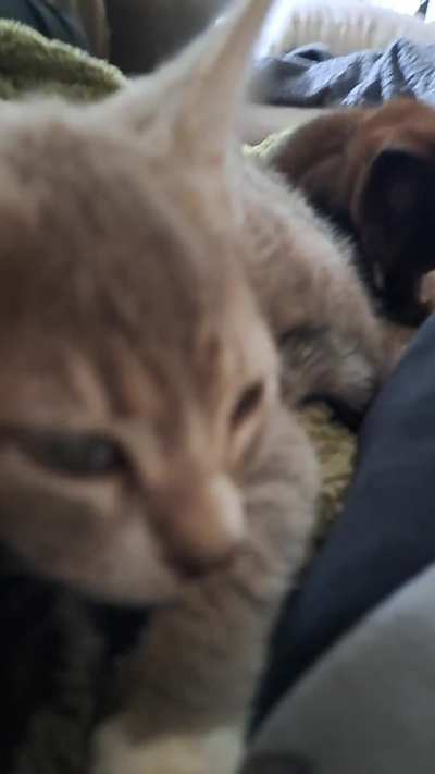 I'm surrounded!