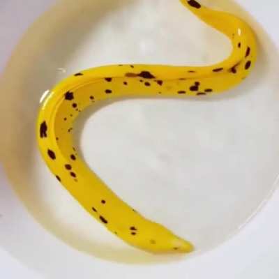 The Forbidden Banana