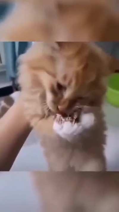 Don't laugh at me !