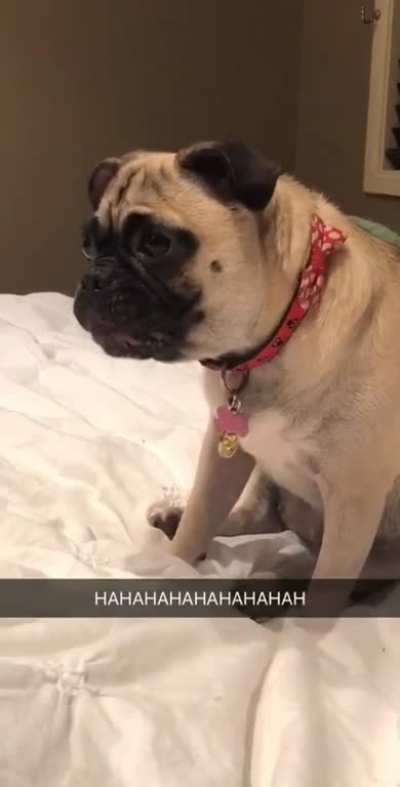 AAAAAAAAAAAAAH