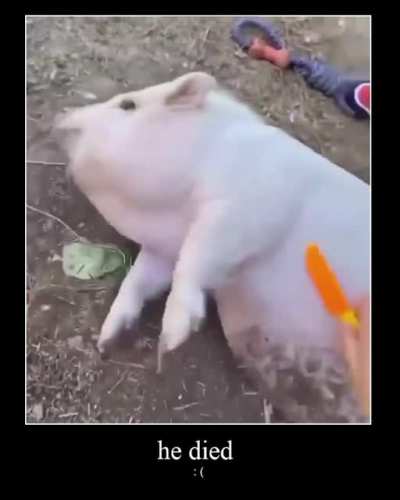 : (