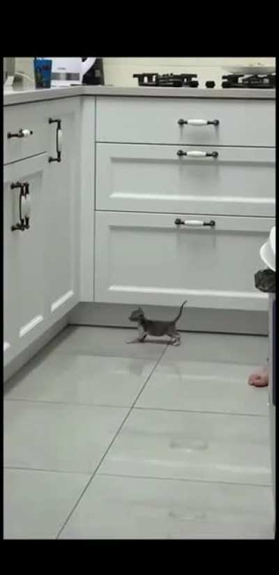 So close.... but yet so far.
