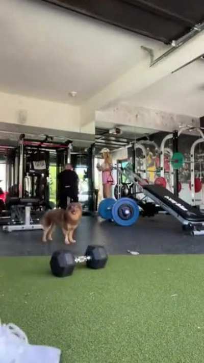 IG Live 1