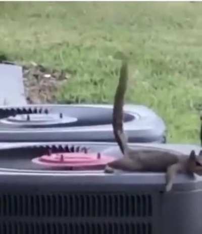 Are you seeing this shit?