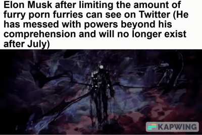 Furry_irl
