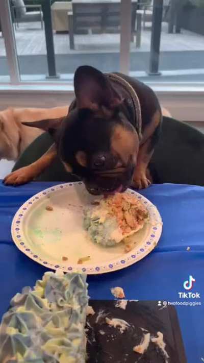 Doggy birthday party