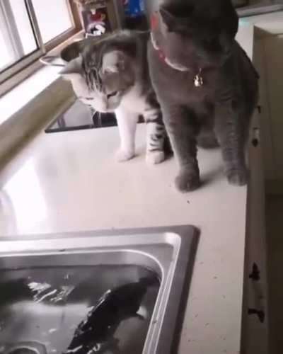 Неожи<wbr>данно