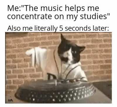 I can't do anything If my Mixtape is so fire.