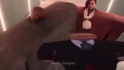 esto estaba jugando en mi cabeza el otro día