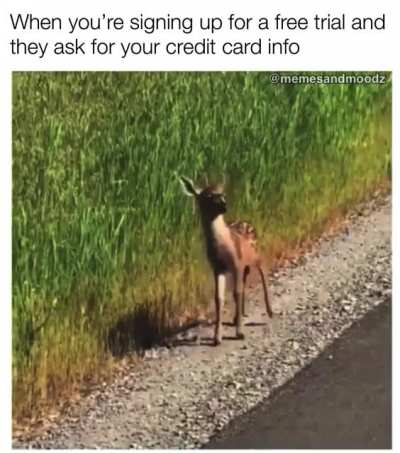 aand I’m out