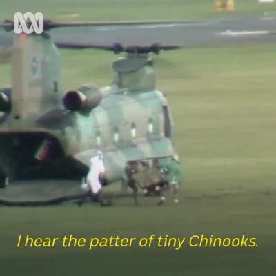 Two Australian CH-47 Chinooks mating and giving birth to a baby Chinook in 1981.