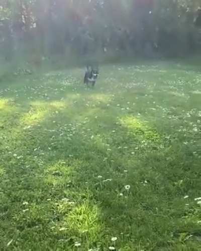 Jump jump jump