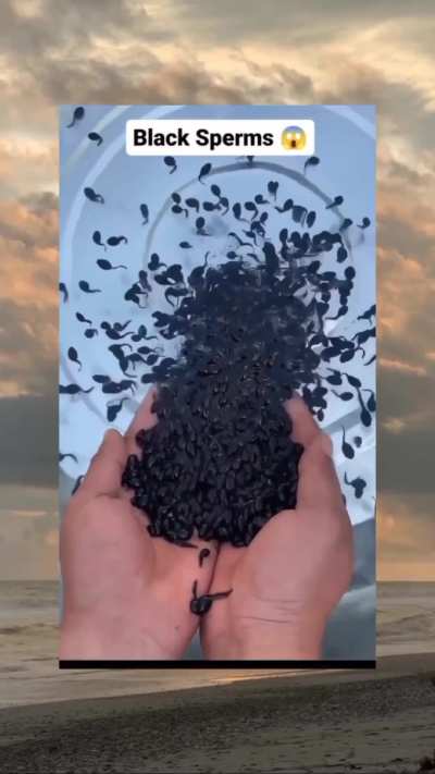 🌚