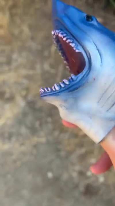 Is it a yell? Or a scream? There is a difference.