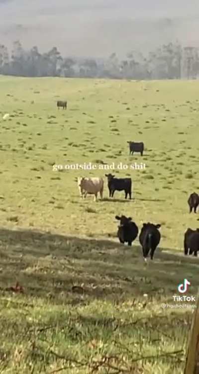 Go outside and do shit