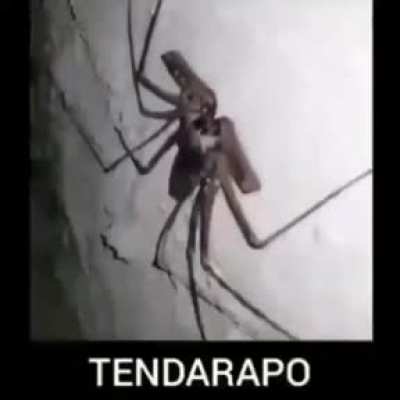 Veo eso y quemo la casa