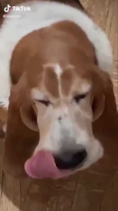 Hey Winston