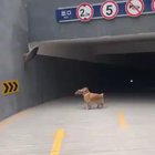 Oh, my lawd! I see another handsome good boi