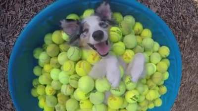 Buried In Balls