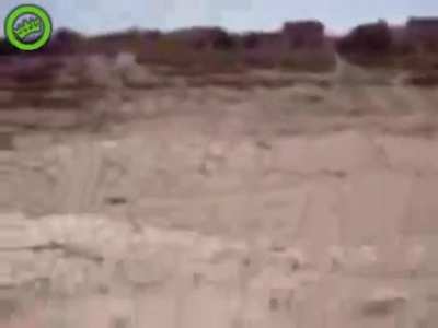 US soldier throws a puppy off a cliff. Forget not being allowed on the boat, this man deserves to be cut apart by the boat's propellers.