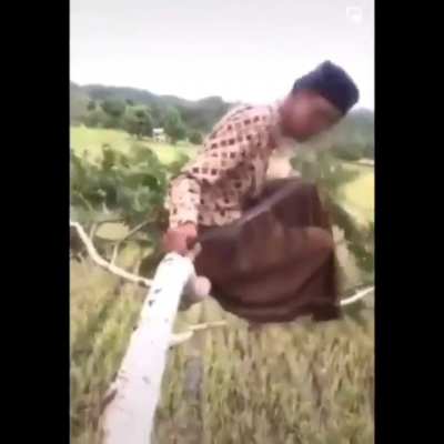 What could go wrong