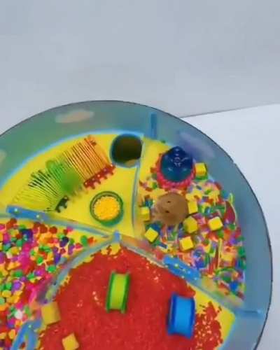 Multilevel hamster maze by Homura Ham