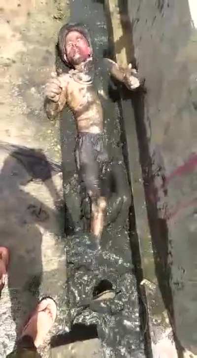 avg bihari holi