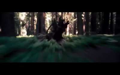 Watch out for that tree...