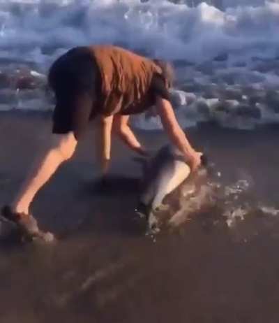 Man saves baby dolphin that is beached.