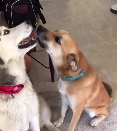 A kiss then a slap.