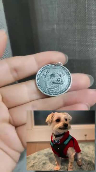 An actual doge coin.