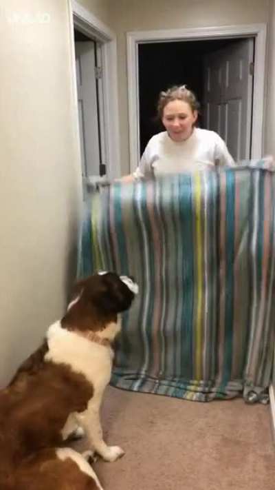 To peek a boo