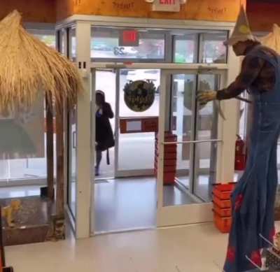 perfectly cut scarecrow