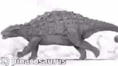 #antitriceratopgang!! 1!1/1❗❗🦖🦖🦖🦕🦕