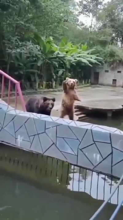 Hey... hey... heyyy... over here