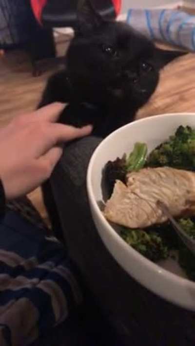 Touch tha chicken