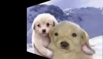 El Paco y yo 😀