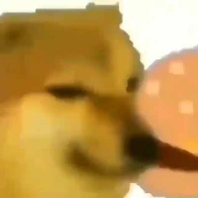 ñam ñam ñam