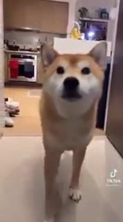 Title