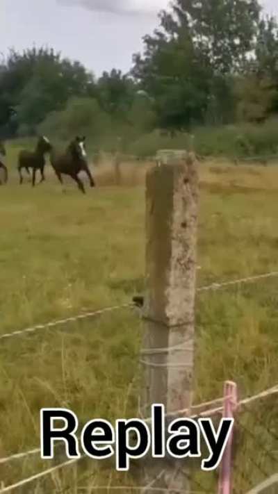 ⠀