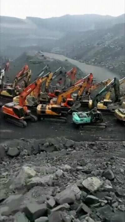The rarely seen great CATERPILLAR migration.