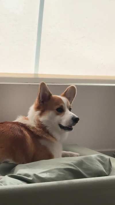 Why’s he so mad?