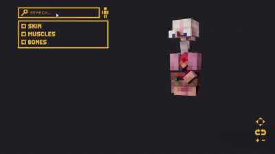 Human Anatomy in Minecraft
